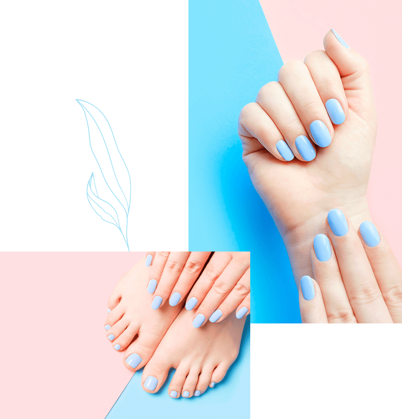 ANIA NAILS