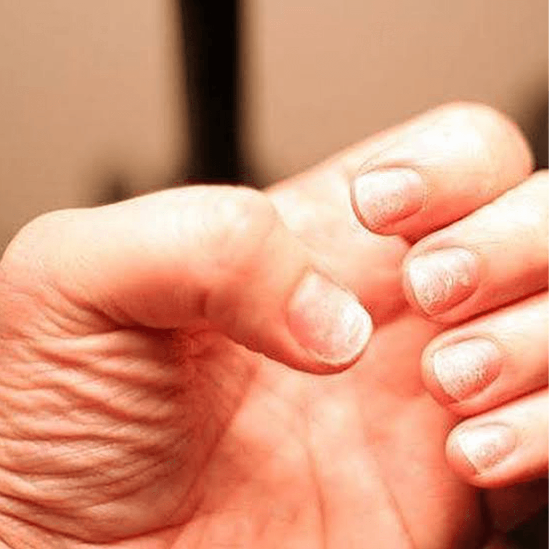 ania-nails.jpg_0005_images-(1)